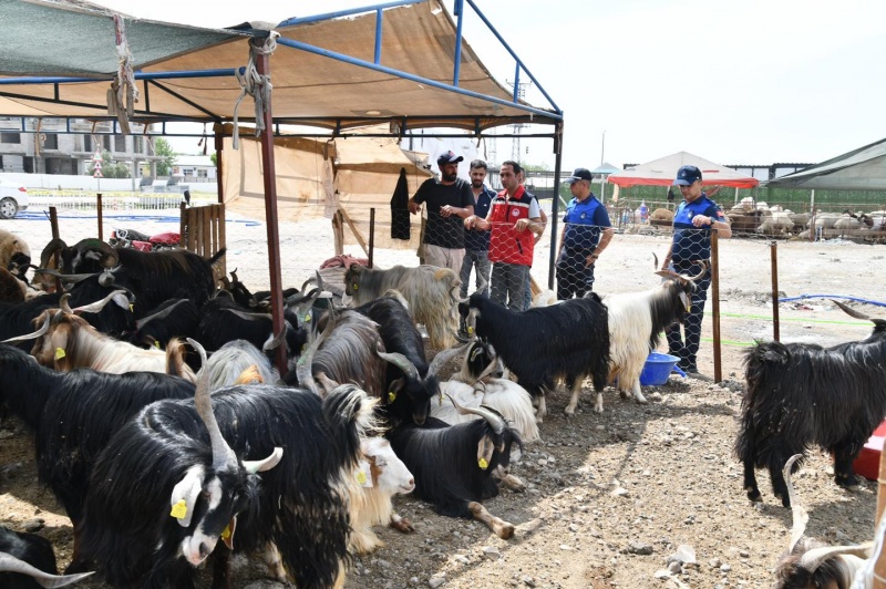OSMANİYE’DE KURBAN BAYRAMI ÖNCESİ HAYVAN PAZARLARINA DENETİM