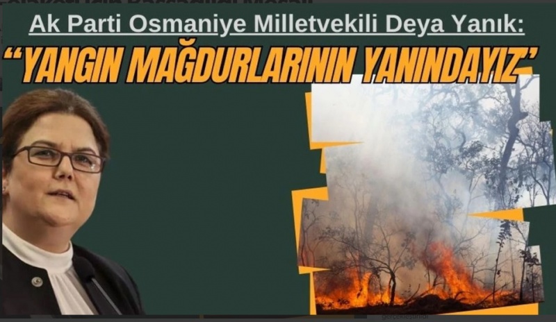 Yanık'' Diyarbakır ve Mardin'deki yangın mağdurlarının yanındayız''